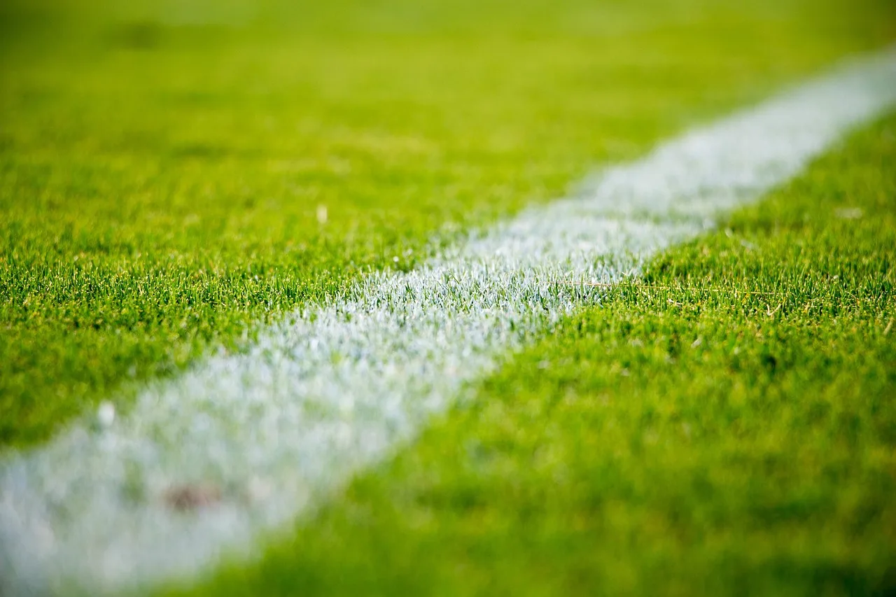 Turf Supply & Preparation Gold Coast — Sollid Solutions